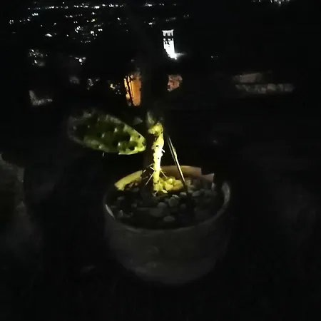 Sonnenstrahl * Locarno