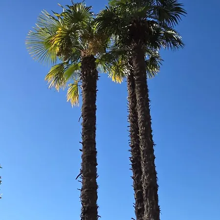 Sonnenstrahl Διαμέρισμα *