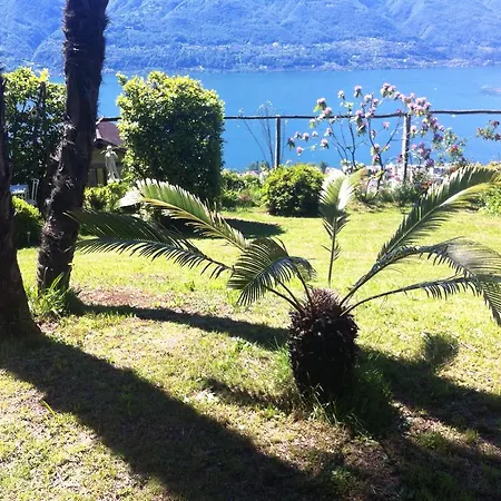 Sonnenstrahl * Locarno