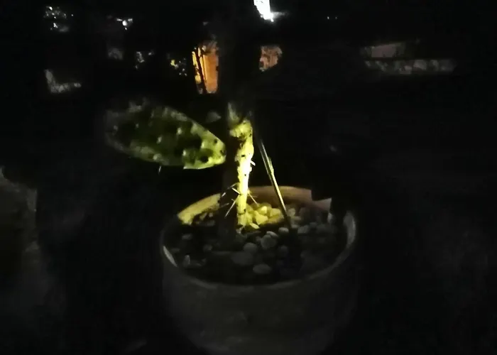 Sonnenstrahl * Locarno