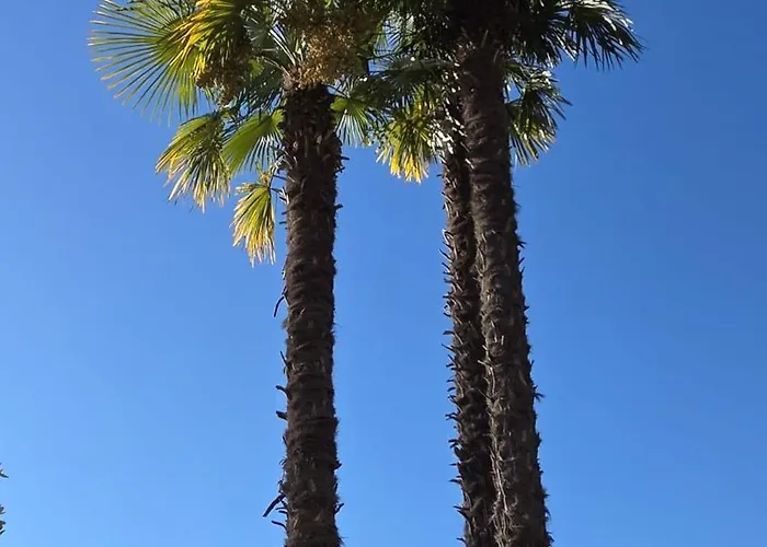 Sonnenstrahl Lägenhet *